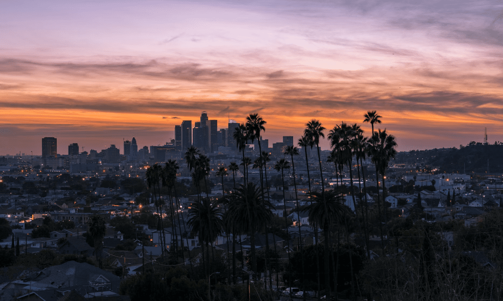 a city skyline with palm trees in the foreground.