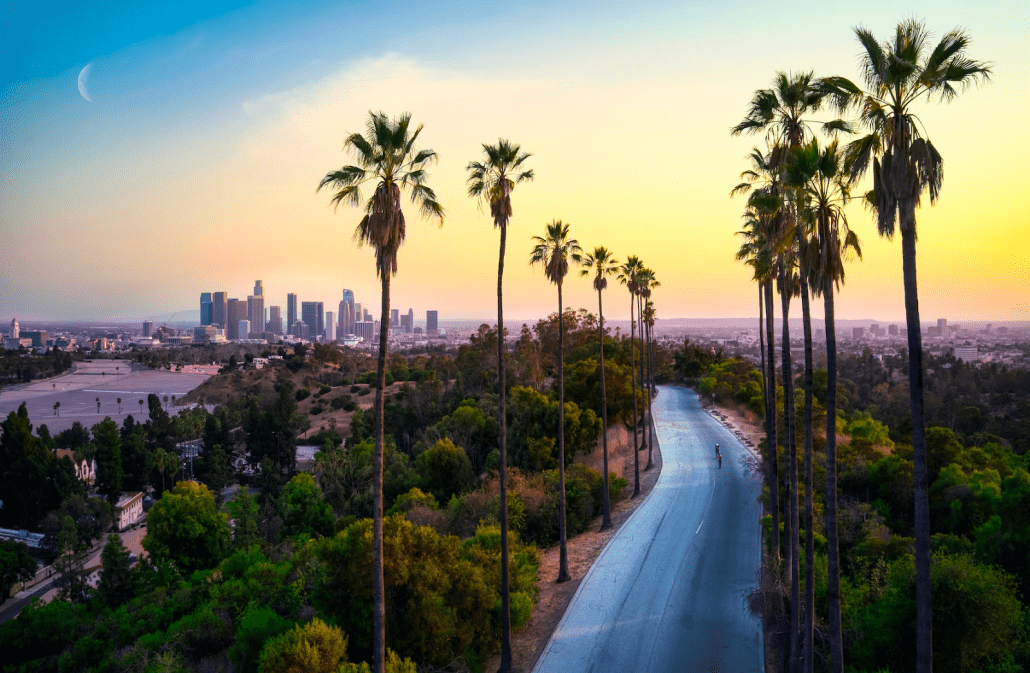 palm trees line a road in front of a city.