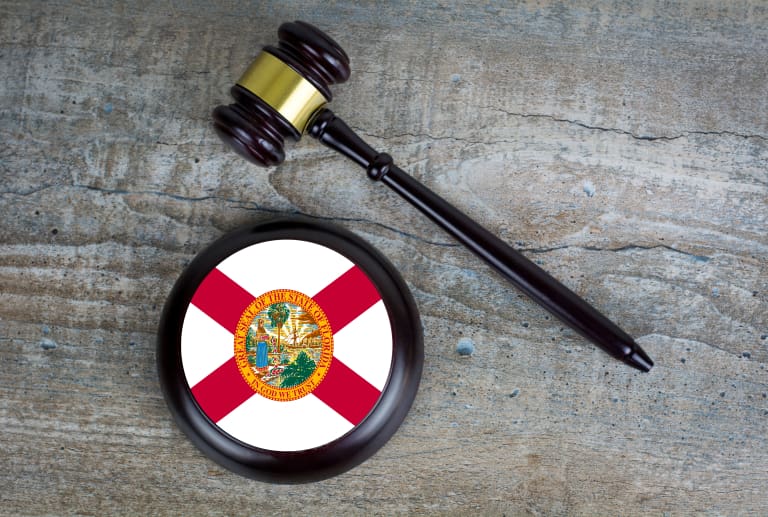 A gavel with the flag of florida on it.