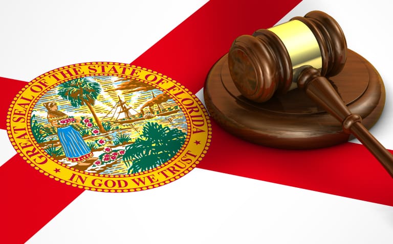 A gavel and the Florida state flag symbolizing the legal process of expungement in Florida.
